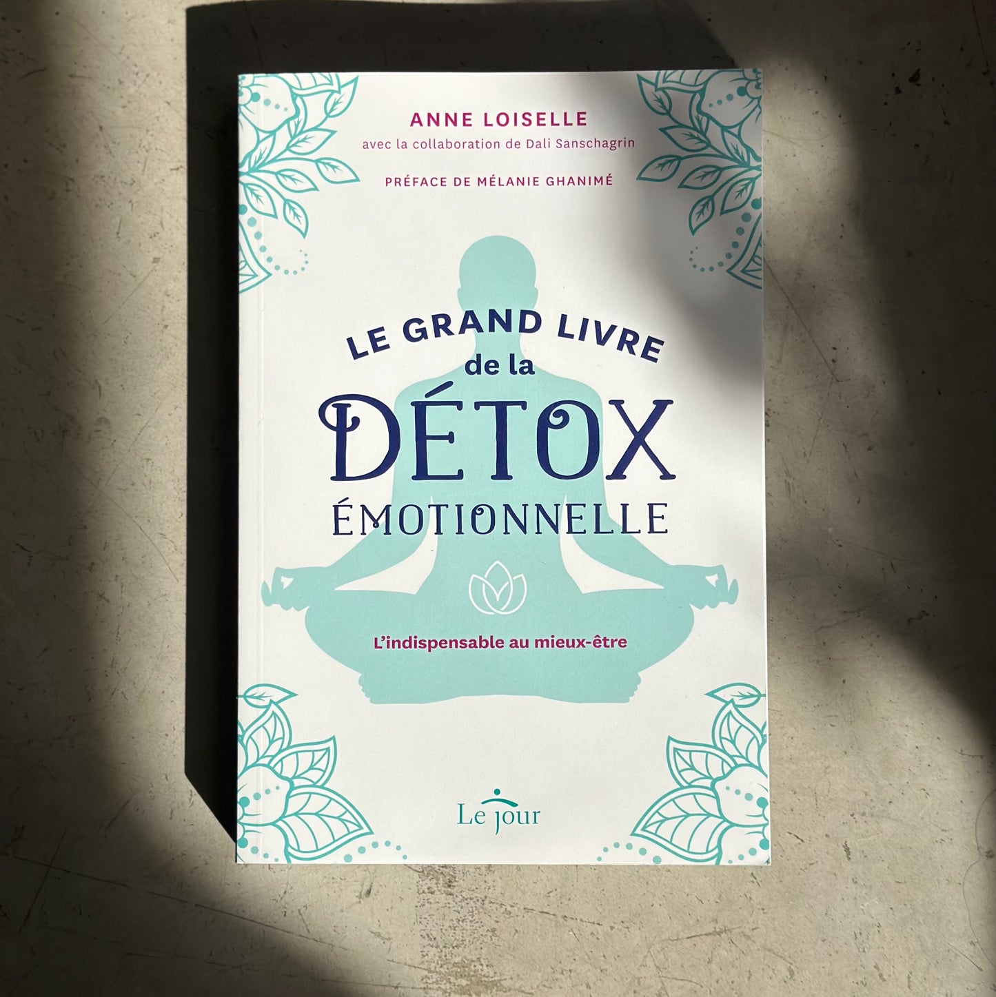 The great book of emotional detox - Anne Loiselle